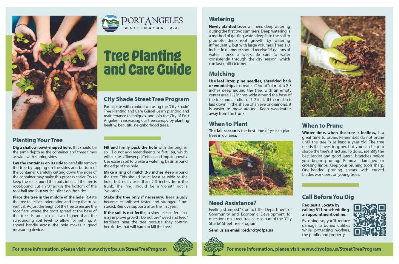 Tree Planting Guide